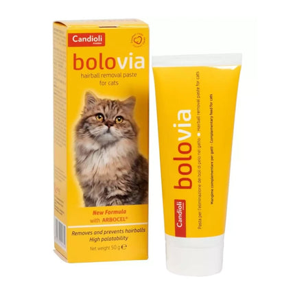 CANDIOLI BOLO VIA Bocconcini 40 GR