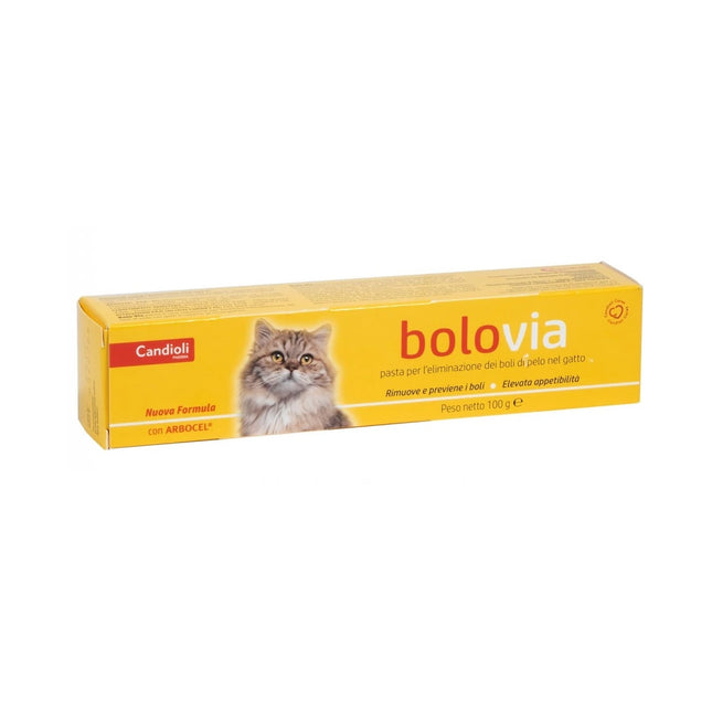 CANDIOLI BOLO VIA Pasta 100 GR