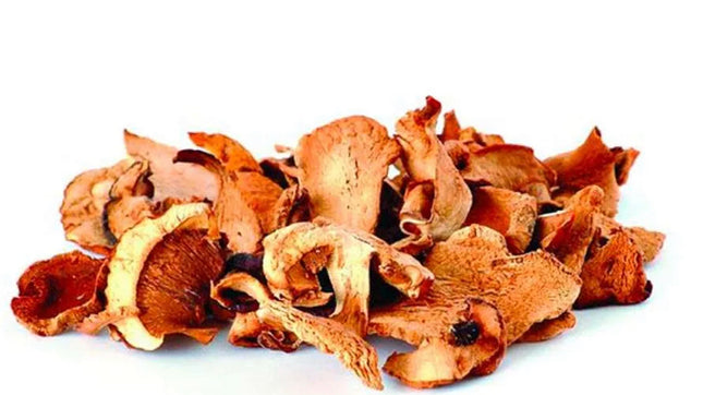 Funghi Porcini Essicati 50 g vaschetta - Smart Space Shop