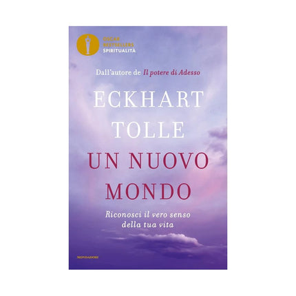 Copertina libro UN NUOVO MONDO. RICONOSCI IL VERO SENSO