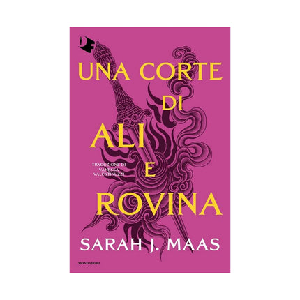 Copertina libro UNA CORTE DI ALI E ROVINA