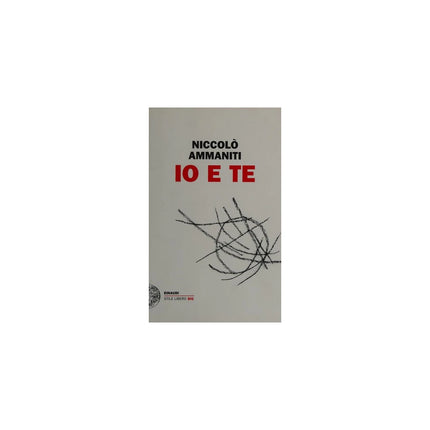 Copertina libro IO E TE