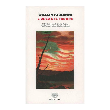 Copertina libro L'URLO E IL FURORE