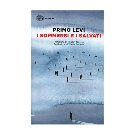 Copertina libro I SOMMERSI E I SALVATI
