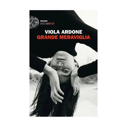 Copertina libro GRANDE MERAVIGLIA