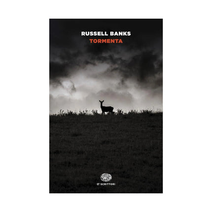 Copertina libro TORMENTA