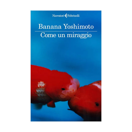 Copertina libro COME UN MIRAGGIO