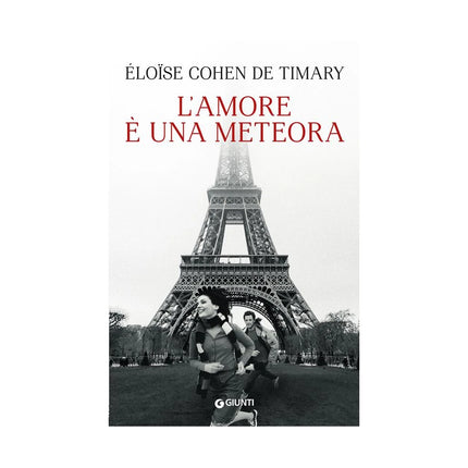 Copertina libro L'AMORE È UNA METEORA