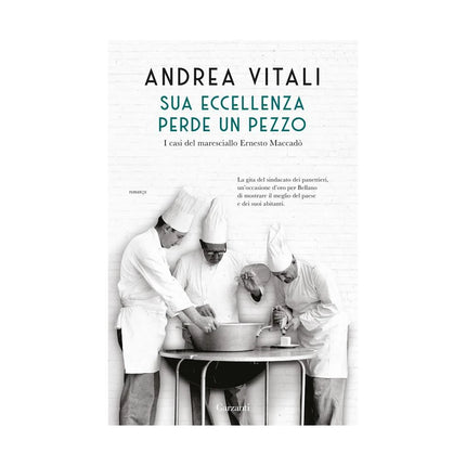 Copertina libro SUA ECCELLENZA PERDE UN PEZZO. I CASI DE