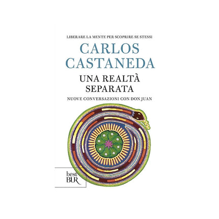 Copertina libro UNA REALTÀ SEPARATA. NUOVE CONVERSAZIONI