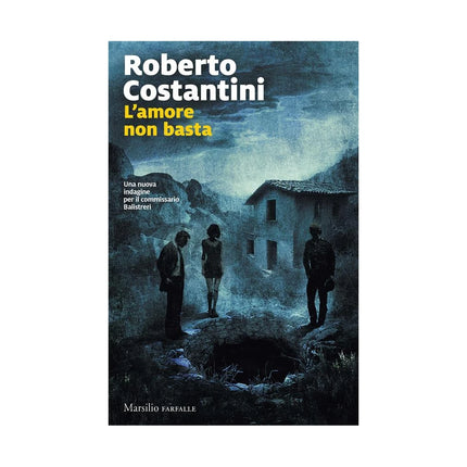 Copertina libro L'AMORE NON BASTA. UNA NUOVA INDAGINE PE