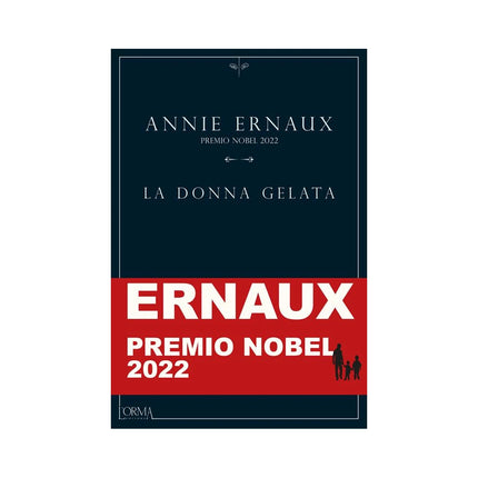 Copertina libro LA DONNA GELATA