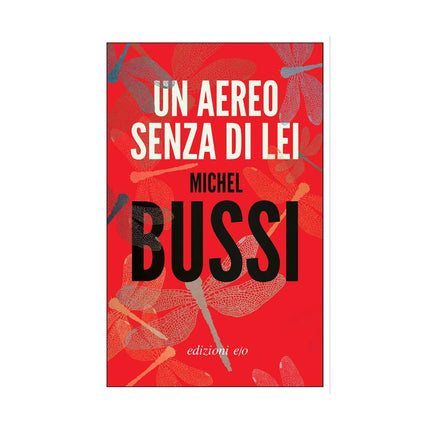 Copertina libro UN AEREO SENZA DI LEI