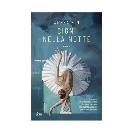 Copertina libro CIGNI NELLA NOTTE