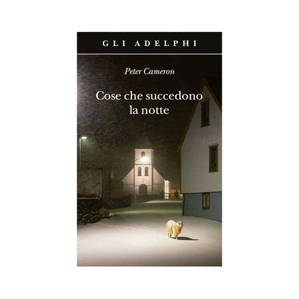 Copertina libro COSE CHE SUCCEDONO LA NOTTE