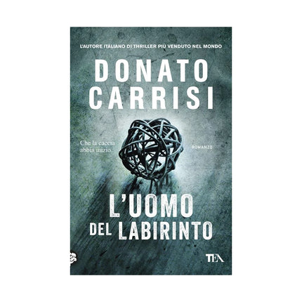 Copertina libro L'UOMO DEL LABIRINTO