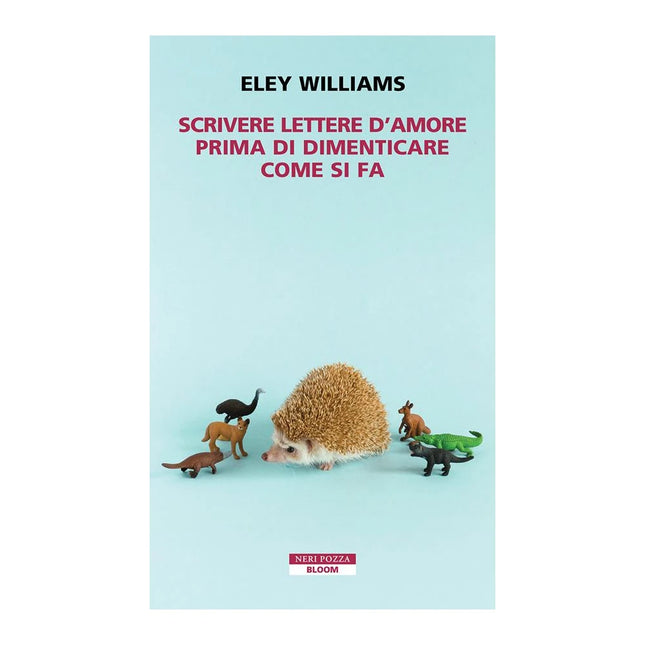 Copertina libro SCRIVERE LETTERE D'AMORE PRIMA DI DIMENT