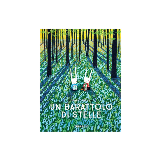 Copertina libro UN BARATTOLO DI STELLE. EDIZ. A COLORI