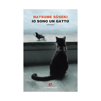 Copertina libro IO SONO UN GATTO