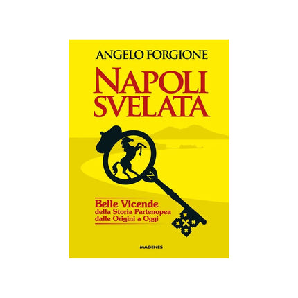 Copertina libro NAPOLI SVELATA. BELLE VICENDE DELLA STOR