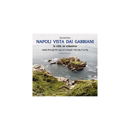 Copertina libro NAPOLI VISTA DAI GABBIANI. LA CITTÀ SE V