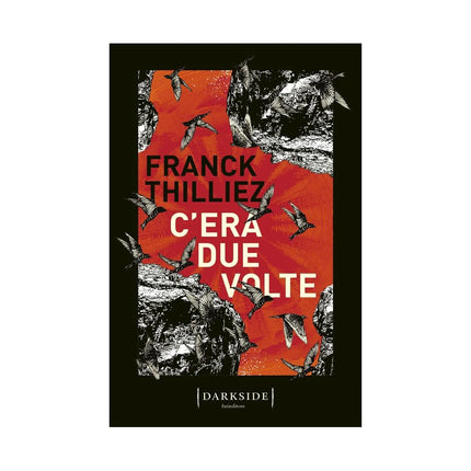 Copertina libro C'ERA DUE VOLTE