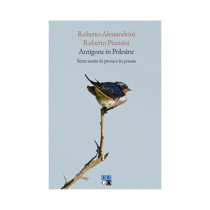 Copertina libro ANTIGONE IN POLESINE. SETTE STORIE IN PR