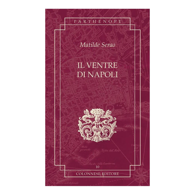 Copertina libro IL VENTRE DI NAPOLI