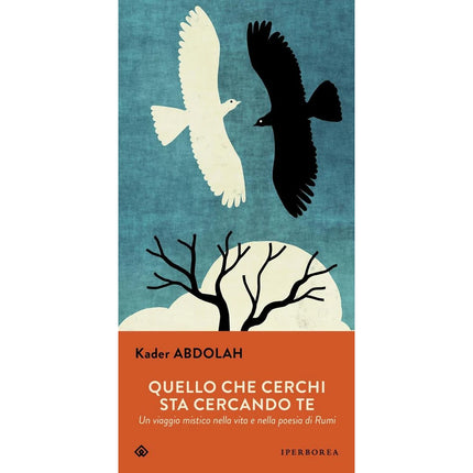 Copertina libro QUELLO CHE CERCHI STA CERCANDO TE. UN VI