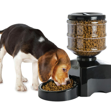 eater dispenser for dog 