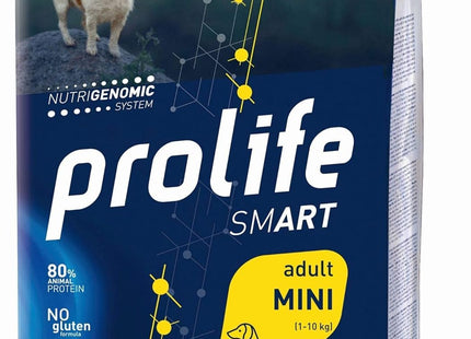 Smart Adult - Mini (Diversi Gusti) - Smart Space Shop